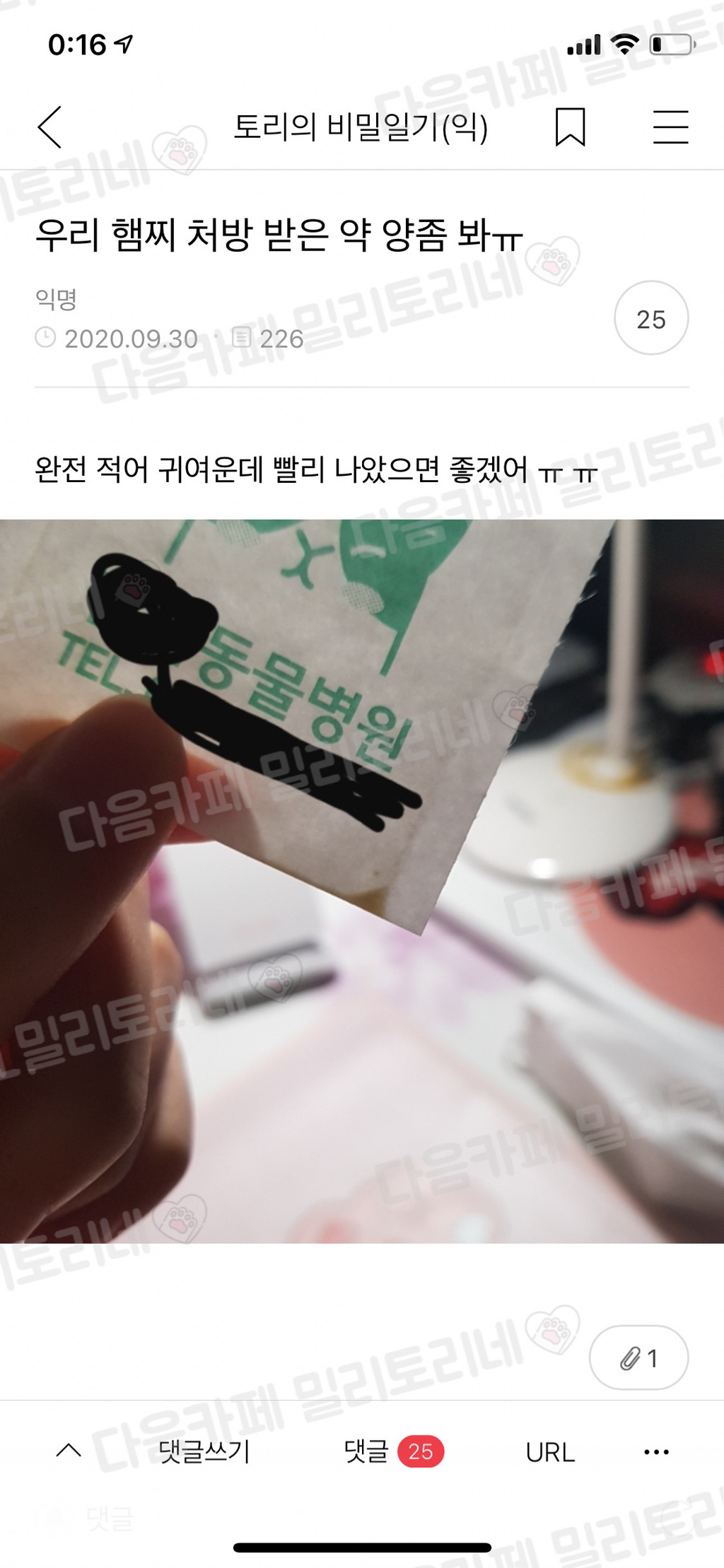 우리 햄찌 처방 받은 약 양 좀 봐ㅠ | 인스티즈