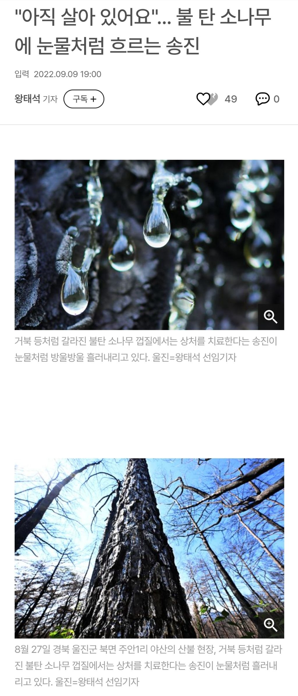 식물은 뽁쳐…물 안 주면 