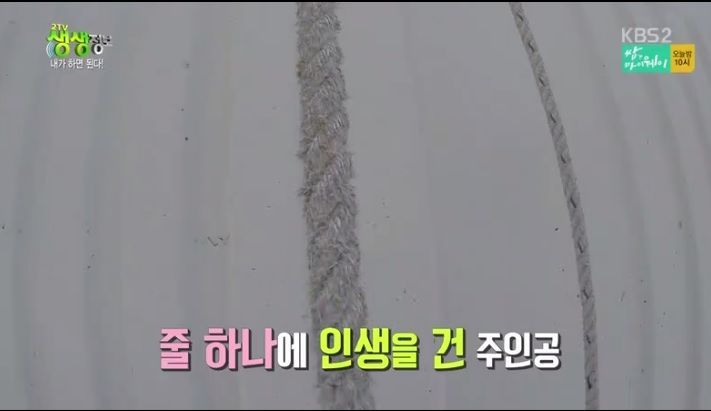 연봉 1억 아파트 외벽 도장공