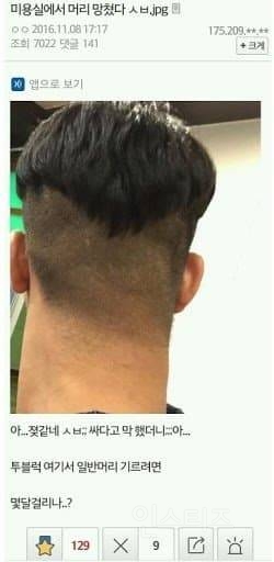 망한 머리 모음 | 인스티즈