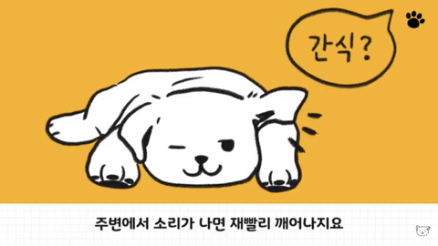 강아지 수면 자세 이유 | 인스티즈