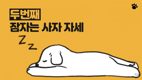 강아지 수면 자세 이유 | 인스티즈