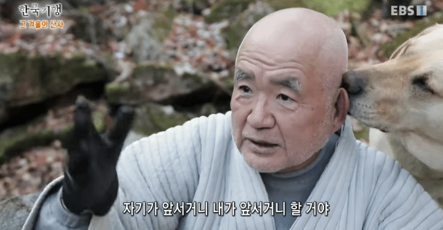 스님 머리 핥던 개 보리 근황 | 인스티즈