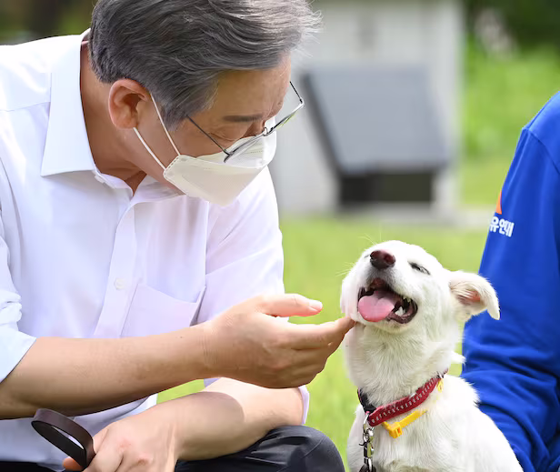 이재명 김문수로 보는 올바르게 강아지 안는 방법 | 인스티즈