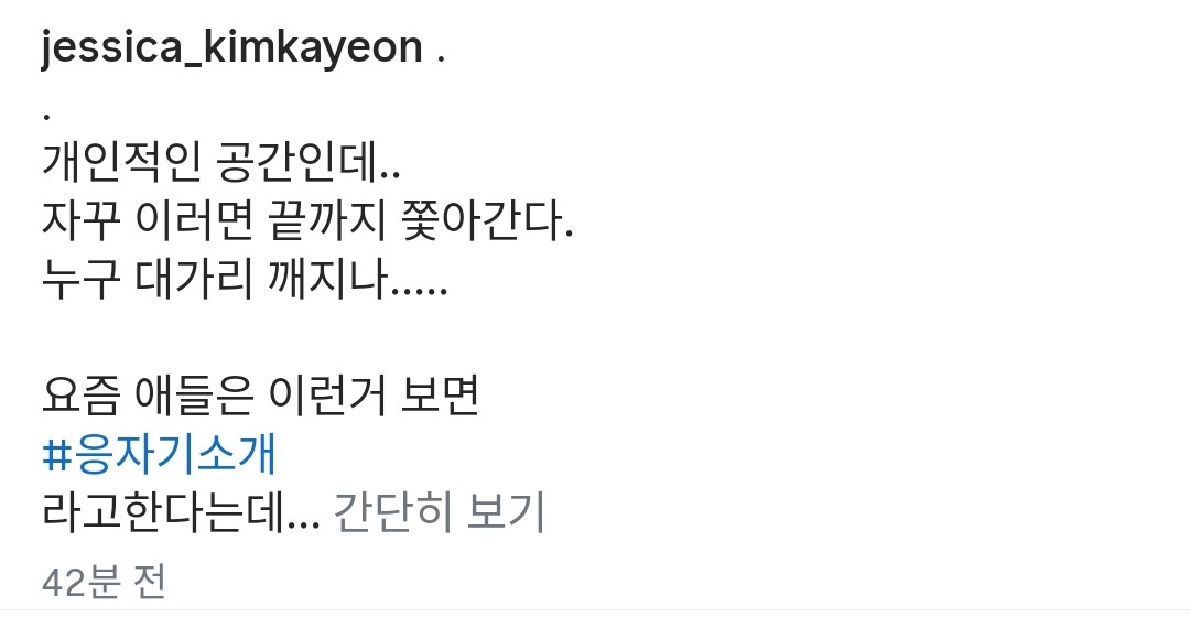좀전에 배우 김가연 인스타에 박제된 댓글