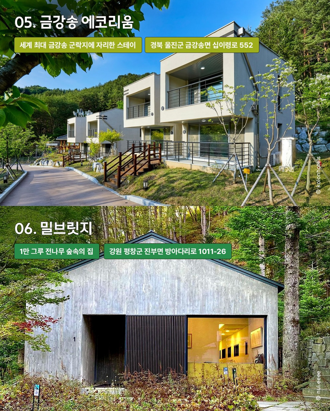 깊은 숲 속 스테이 16곳 | 인스티즈