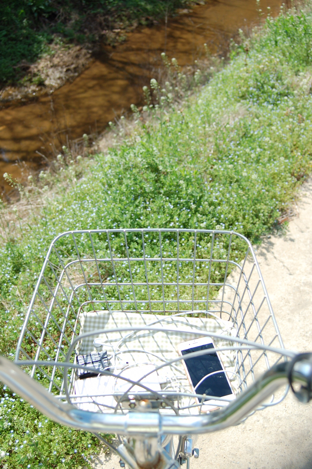반년동안 모은 자전거 바구니 사진 🚲✨🌿 | 인스티즈