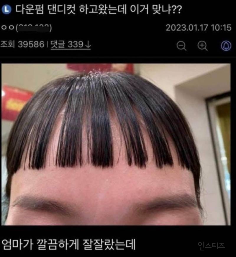 망한 머리 모음 | 인스티즈