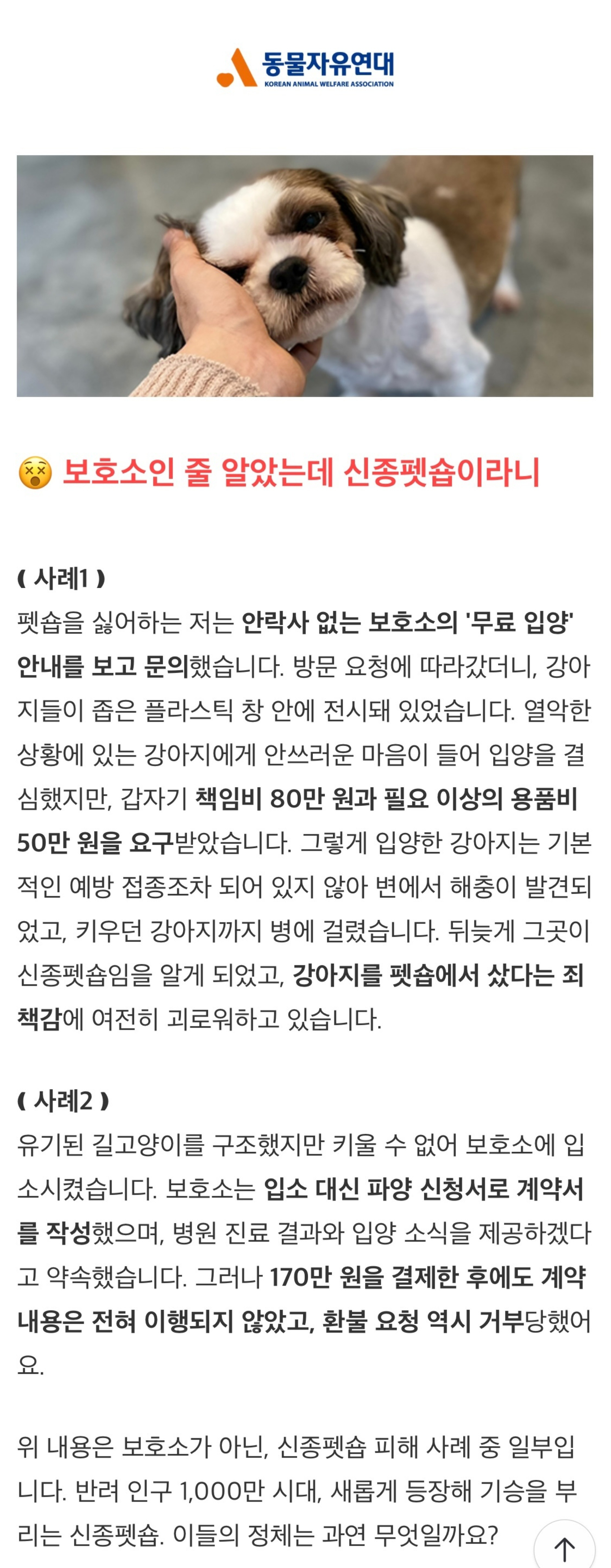 신종펫샵이 펫샵 중에서도 악질인 이유 (+구분하는 방법 추가) | 인스티즈