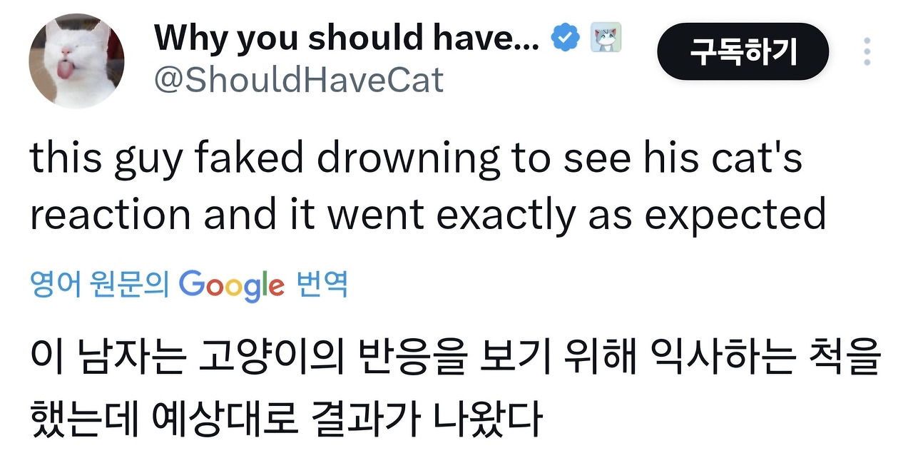 고양이 앞에서 익사하는 척 해보기.jpg | 인스티즈
