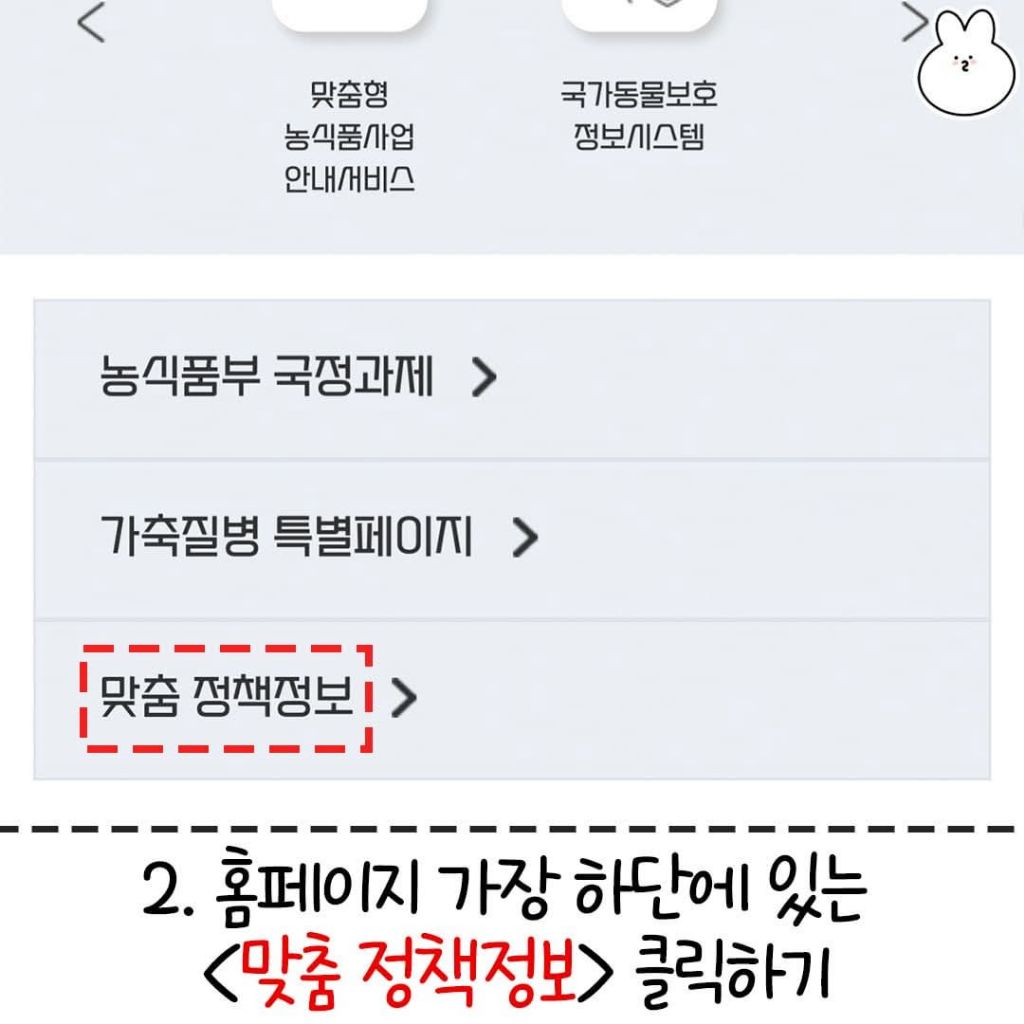 동물병원 호구 안 당하는 꿀팁 | 인스티즈