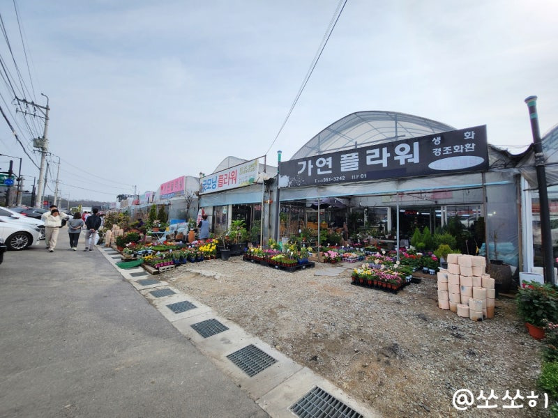 한국 신도시 정말 촌스러움 | 인스티즈