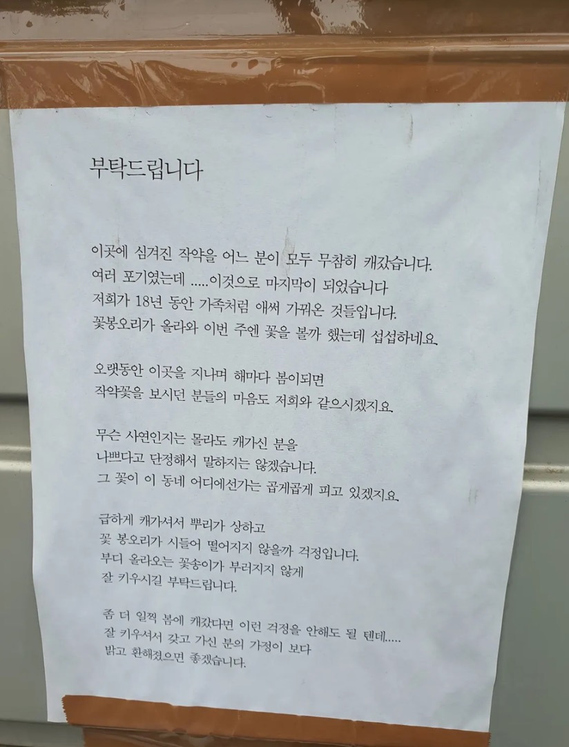 18년동안 키운 작약을 뽑아간 도둑에게 주인이 전하는 말 | 인스티즈