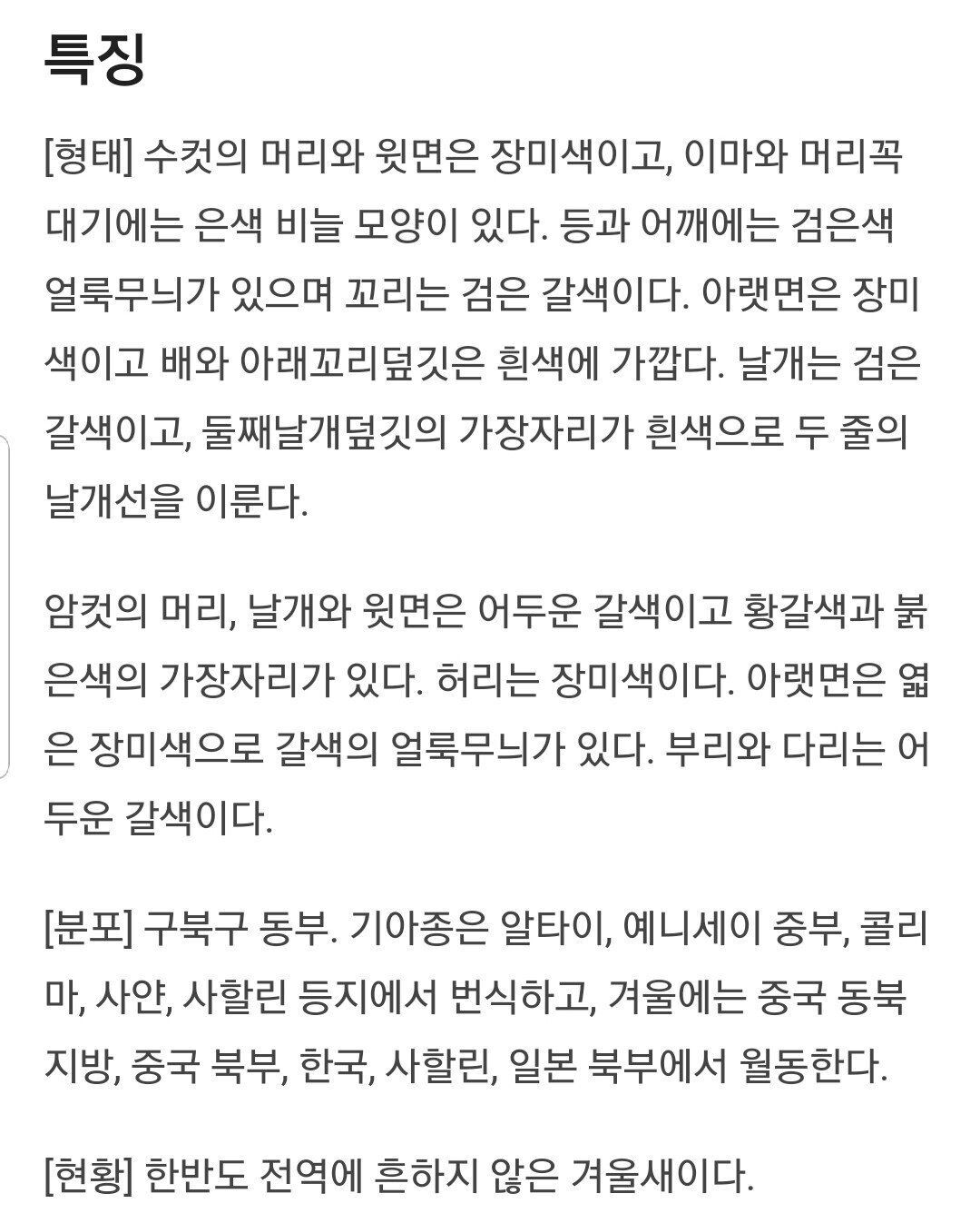 멸종위기급이라 관심대상이라는 핑크 참새.jpg | 인스티즈