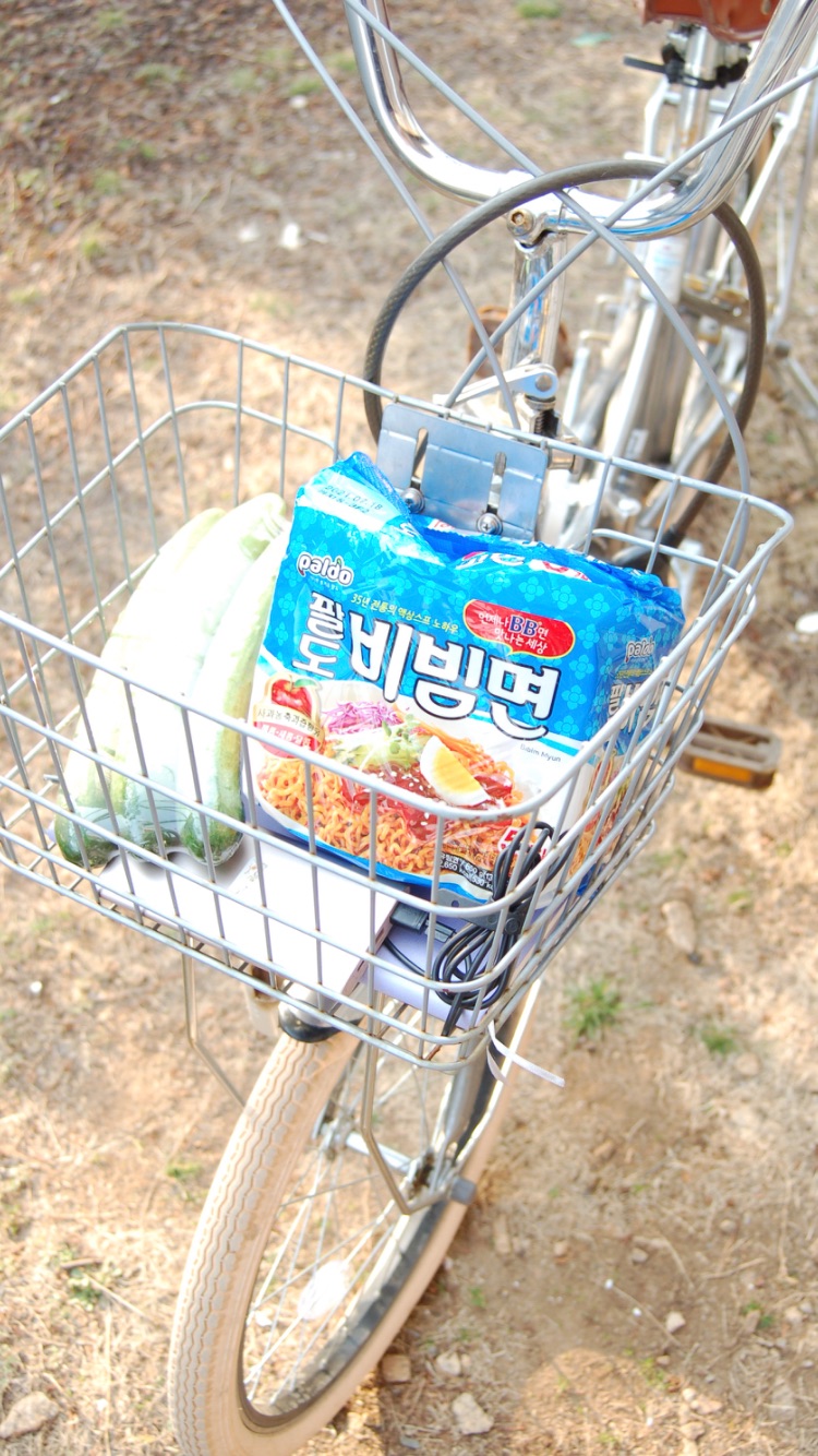 반년동안 모은 자전거 바구니 사진 🚲✨🌿 | 인스티즈