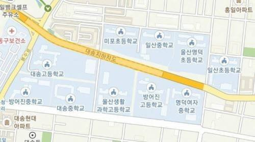 울산의 전설적인 학교 배치.jpg | 인스티즈