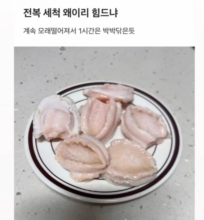 요리 초보의 충격적인 전복 세척 대참사