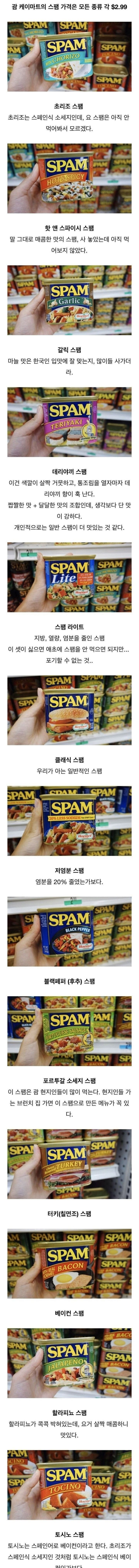 해외의 여러가지 스팸종류 | 인스티즈