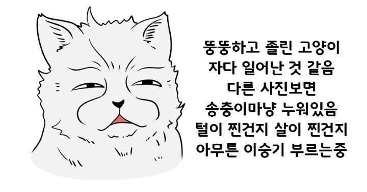 SNS 에서 보는 고양이의 4대 유형 | 인스티즈