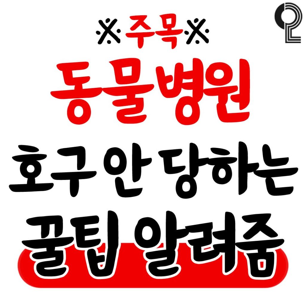 동물병원 호구 안 당하는 꿀팁 | 인스티즈