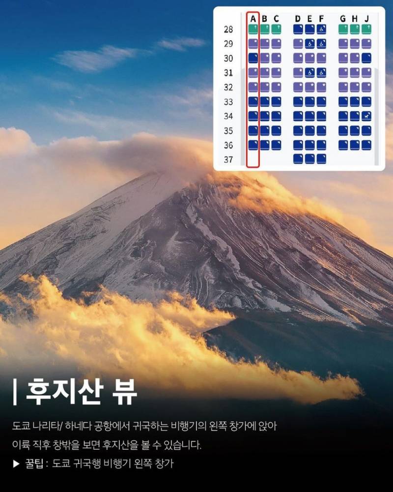 현재 2000플 넘은 대한항공 업계 비밀 유출.JPG | 인스티즈