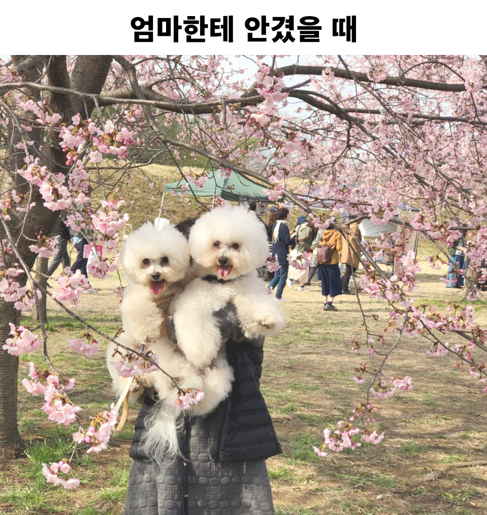 엄마가 안았을 때와 아빠가 안았을 때의 차이.jpg | 인스티즈