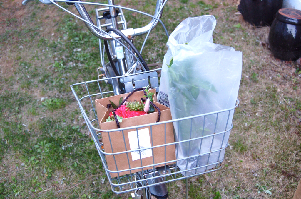 반년동안 모은 자전거 바구니 사진 🚲✨🌿 | 인스티즈