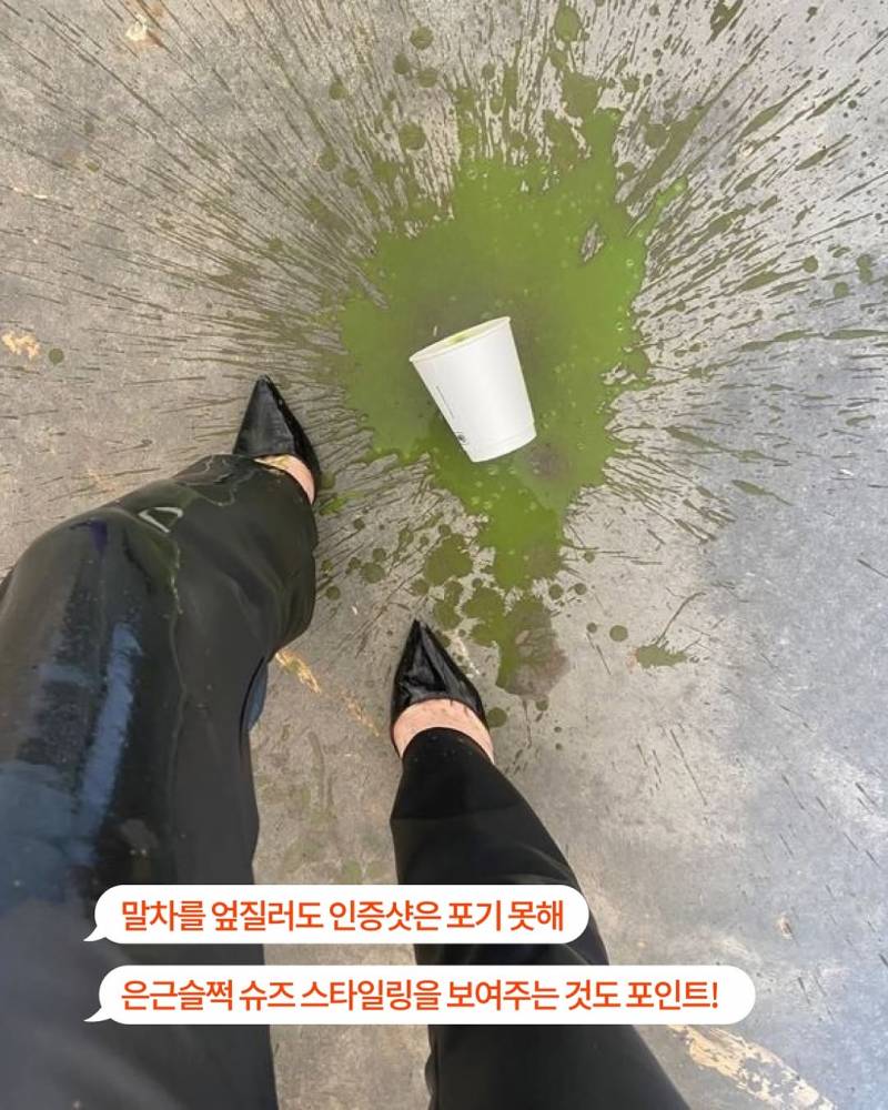 요즘 Z세대들이 말차라떼를 흘리는 이유.JPG | 인스티즈