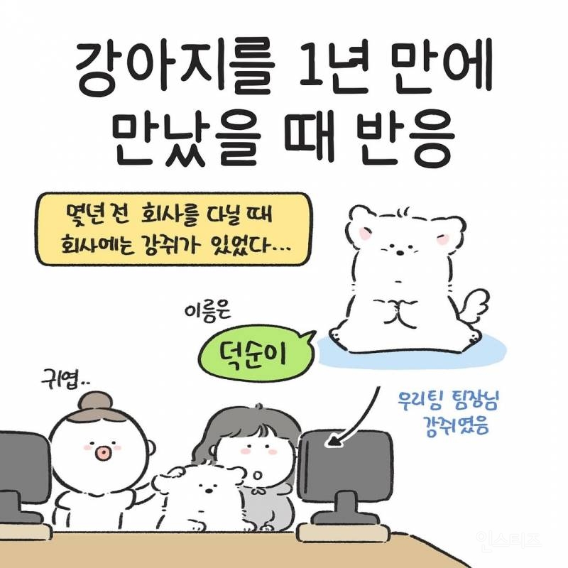 강아지를 1년만에 만났을때(강아지 사진 有)