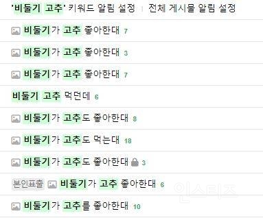 인스티즈 광기의 비둘기좌