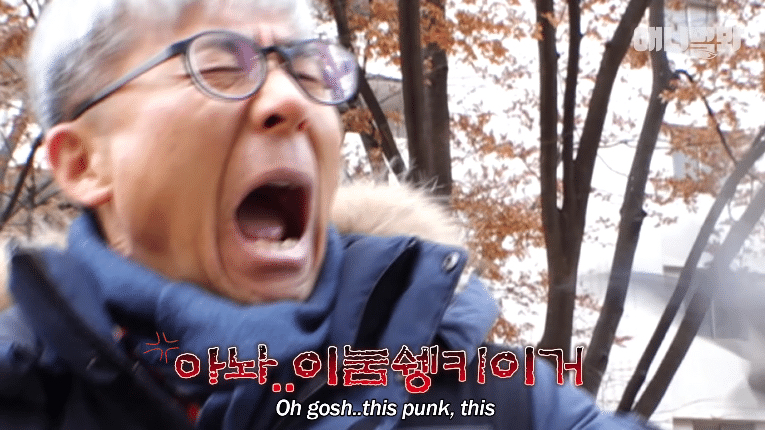 누구든 자기 영역에만 들어오면 눈이 돌아버리는 조류계의 조폭 | 인스티즈