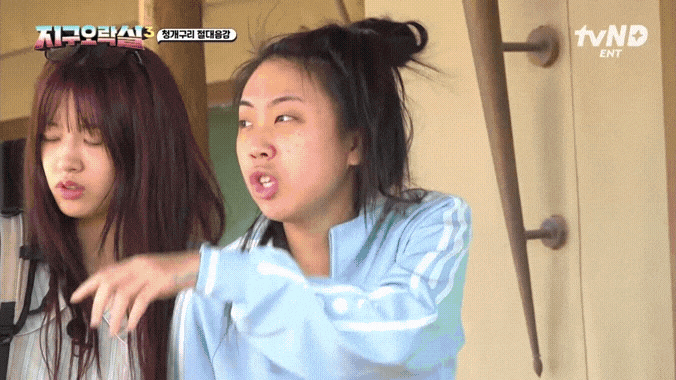 지락실 미미 한줄요약 | 인스티즈