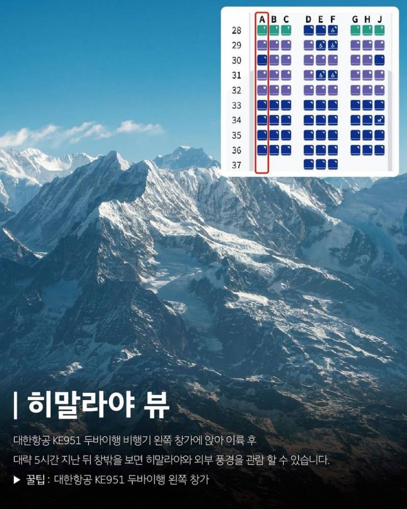 현재 2000플 넘은 대한항공 업계 비밀 유출.JPG | 인스티즈