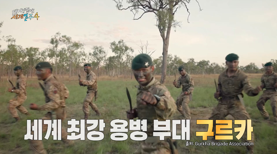 네팔 가서 신명나 게 살풀이 한판 하고 왔다는 기안