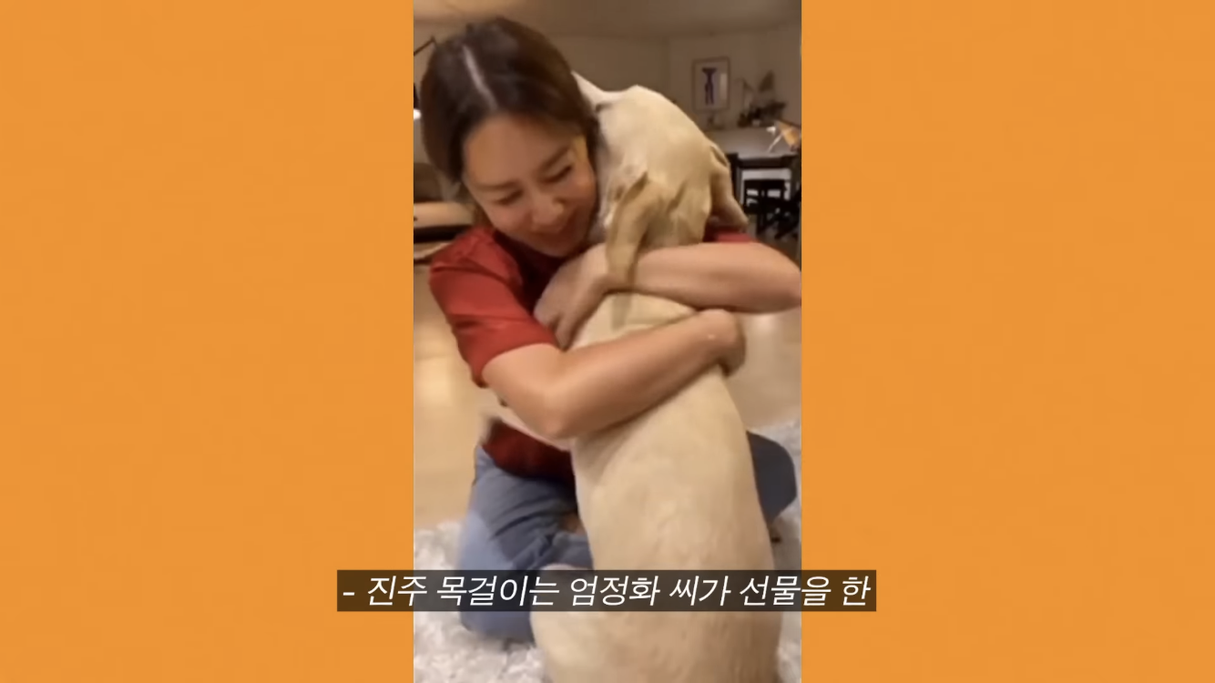 정재형이 리트리버에게 악세사리를 착용해주는 이유 | 인스티즈