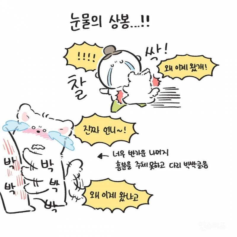 강아지를 1년만에 만났을때(강아지 사진 有) | 인스티즈