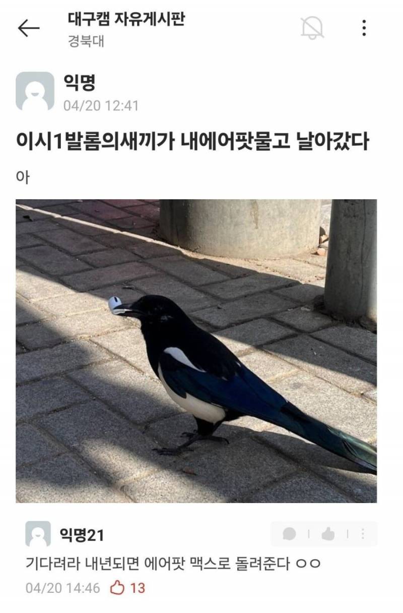 오늘자 경북대 에어팟 도난사건 발생