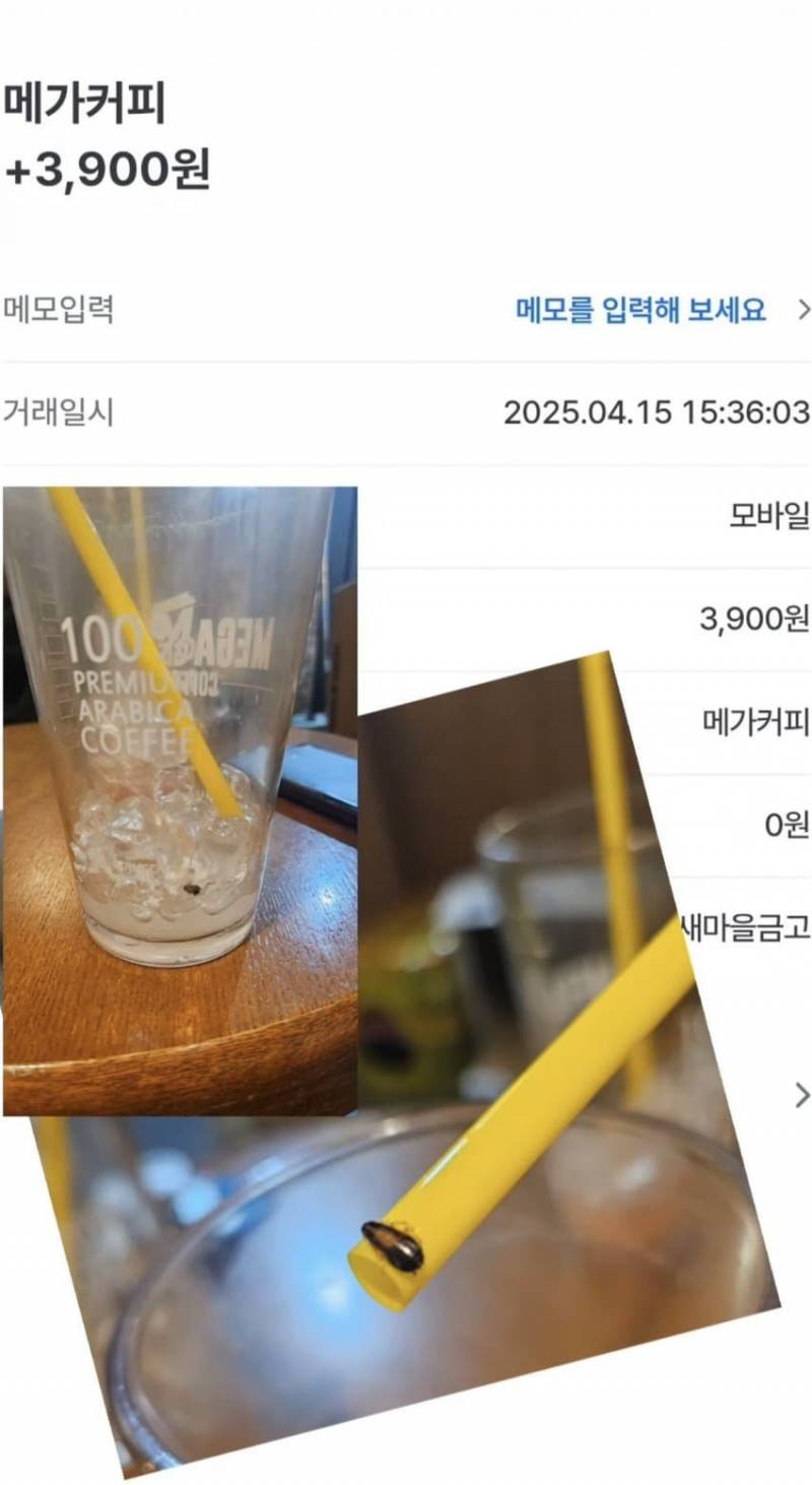 커피에서 바퀴벌레 나온 메가커피.....ㅎㅇㅈㅇ