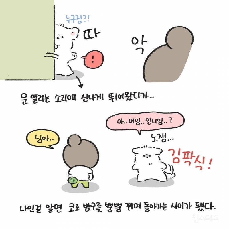 강아지를 1년만에 만났을때(강아지 사진 有) | 인스티즈