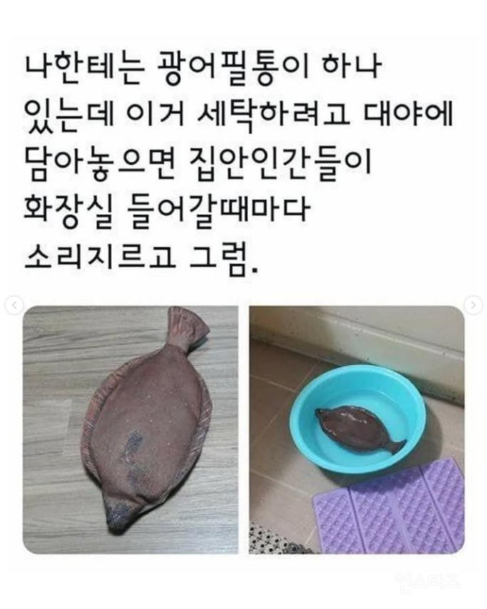 나한테는 광어필통이 하나 있는데.jpg