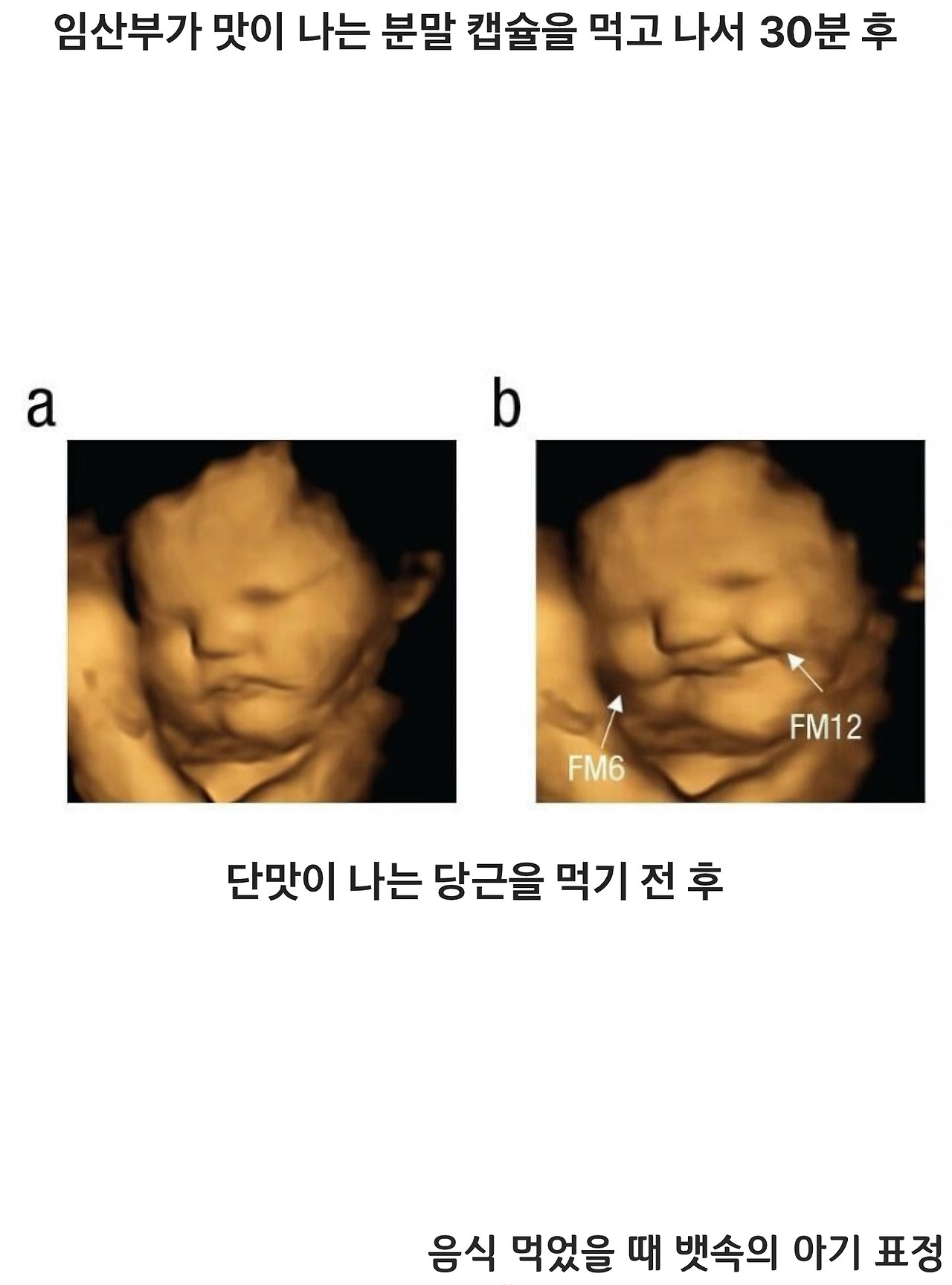 음식 먹었을 때 뱃속의 아기 표정 | 인스티즈