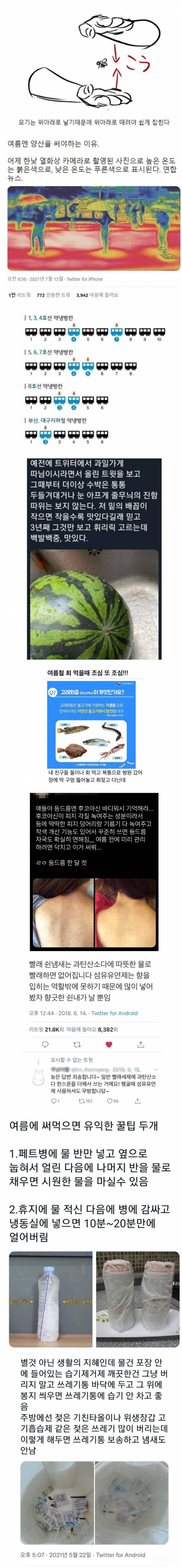 벌써 다가오는 그 계절 꿀팁…