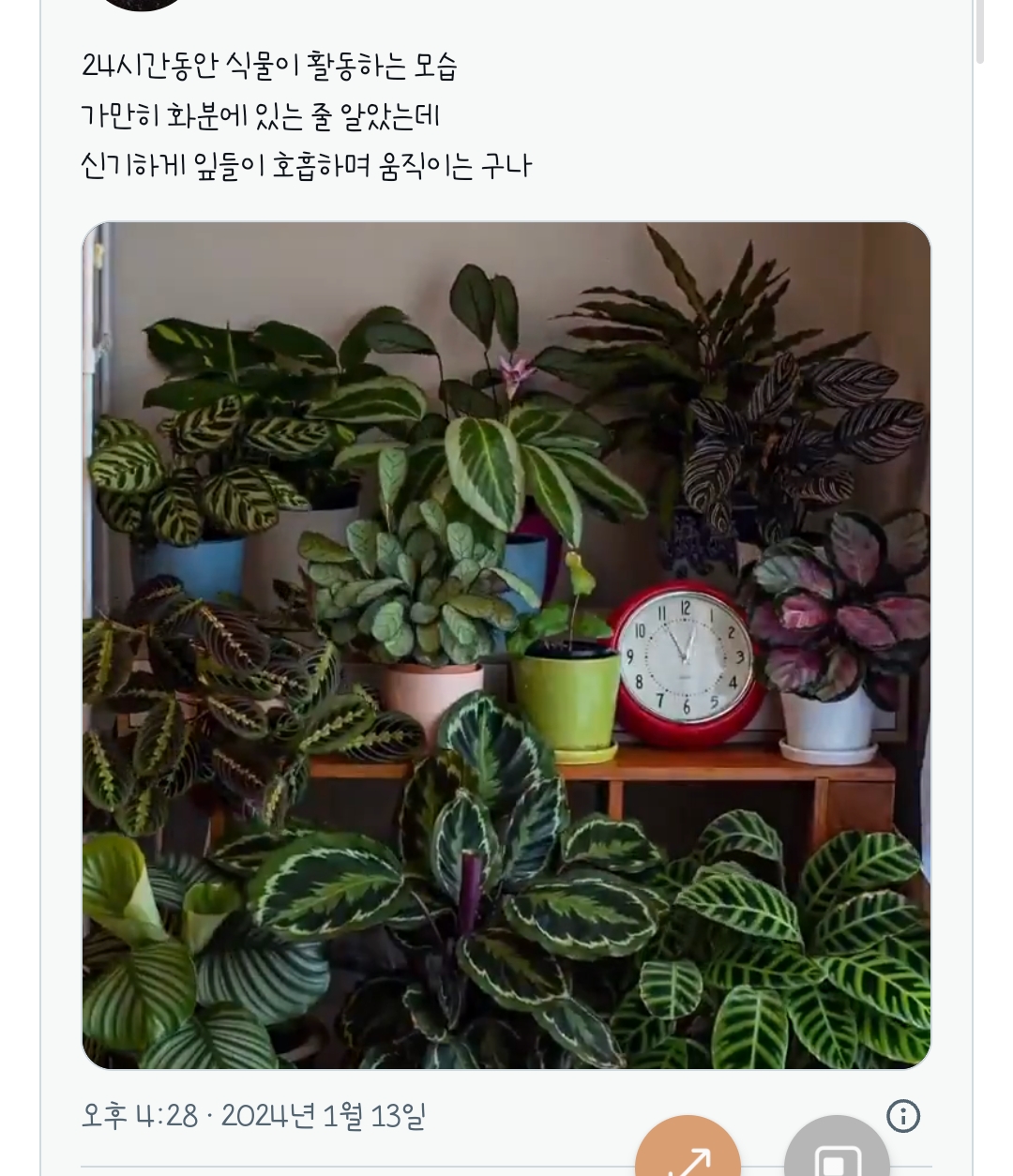 식물이 숨 쉬는 거 봐 | 인스티즈