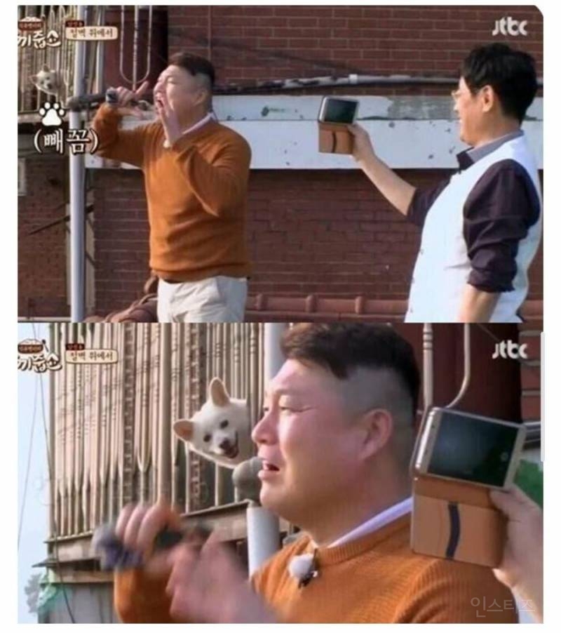 집앞에 연예인 왔다고해서 1열에서 구경 중