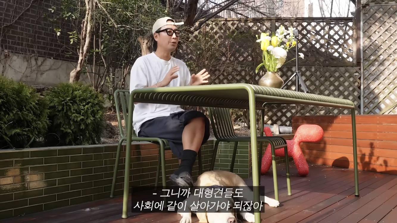정재형이 리트리버에게 악세사리를 착용해주는 이유 | 인스티즈