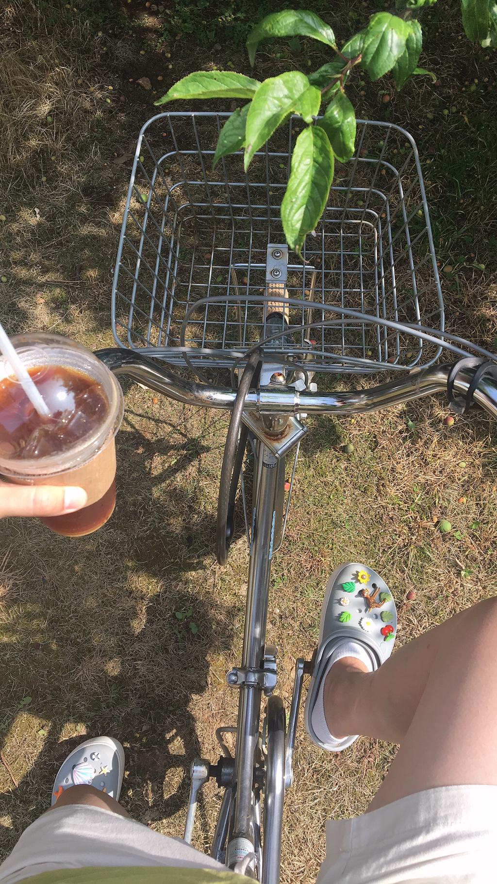 반년동안 모은 자전거 바구니 사진 🚲✨🌿 | 인스티즈