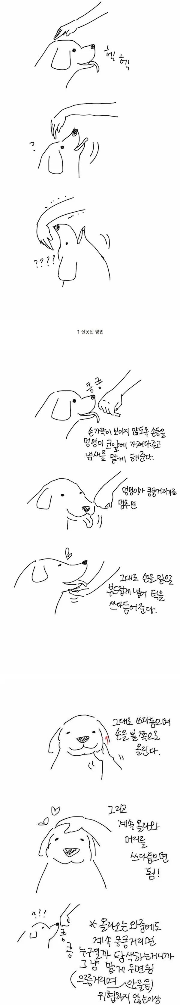 처음 보는 개를 만질때 매너.gif | 인스티즈