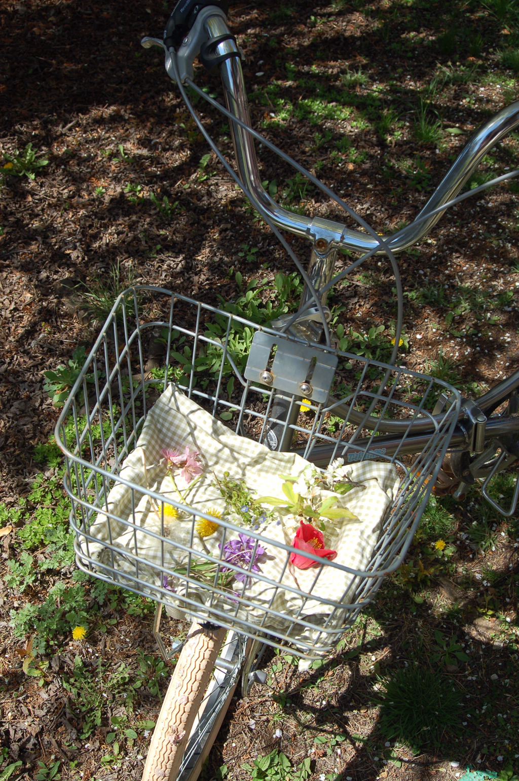 반년동안 모은 자전거 바구니 사진 🚲✨🌿 | 인스티즈