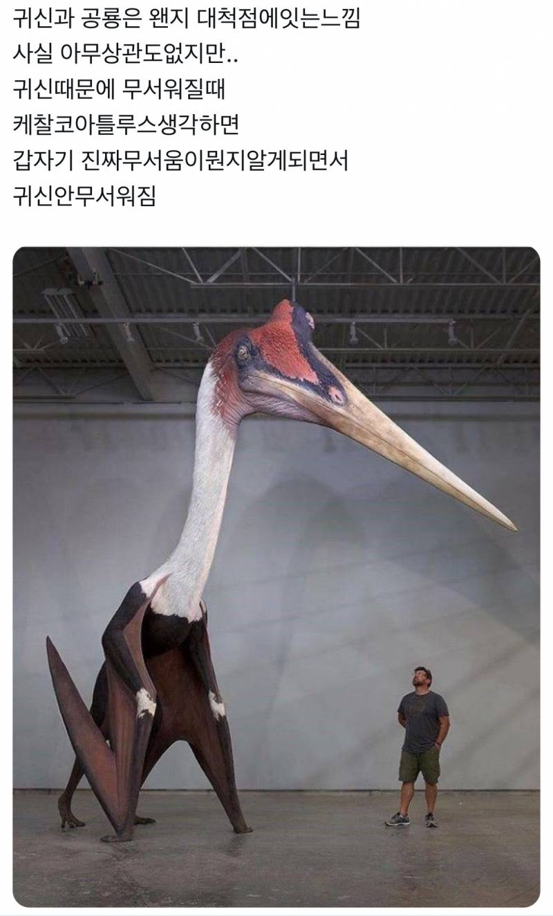 (혐) 귀신을 무서워하지 않아도 되는 이유
