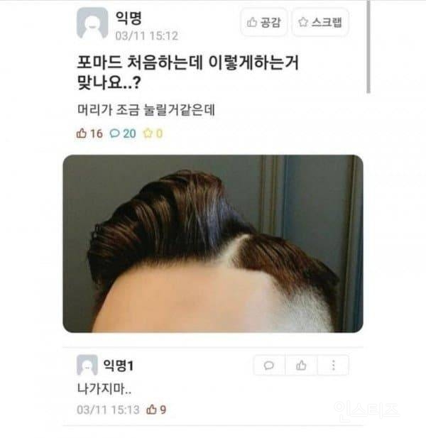 망한 머리 모음 | 인스티즈